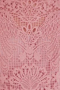 FARM Rio  BLUSH PINK GUIPURE LONG SLEEVE BLOUSE