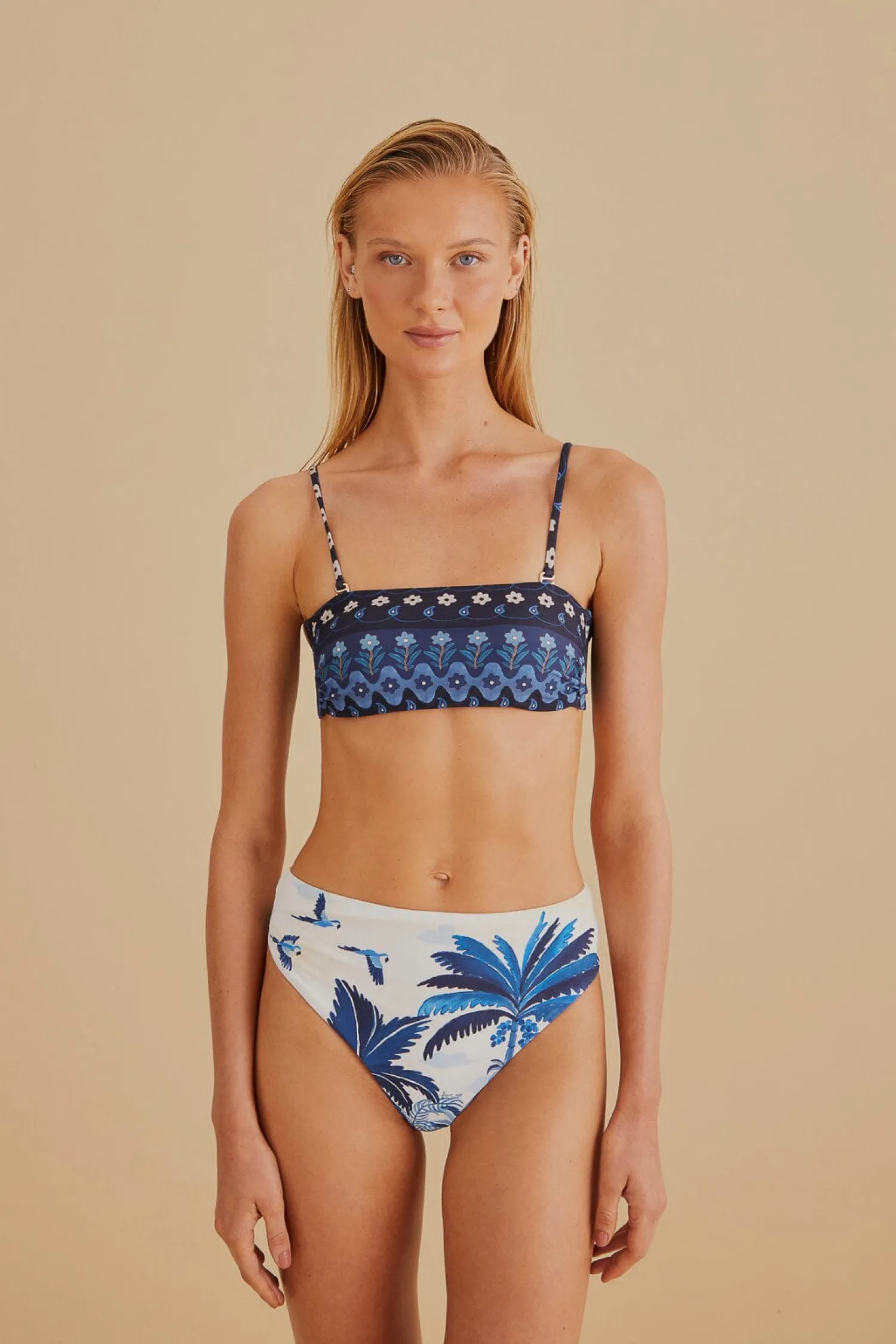 FARM Rio DREAM SKY BIKINI TOP