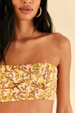 FARM Rio  LIGHT PINK STAR FRUIT CROP TOP